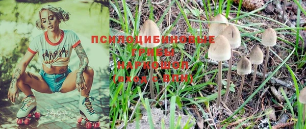 МДПВ Козельск